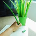 Unordinary Plant Pen Set