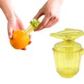 Refreshing Citrus Juicer