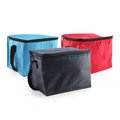 Trendy Insulated Cooler Bag