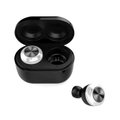 Platinum TWS Earbuds