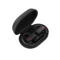 Sporty Noise Cancelling TWS Earbuds