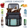 Portable Insulated Cooler Backpack