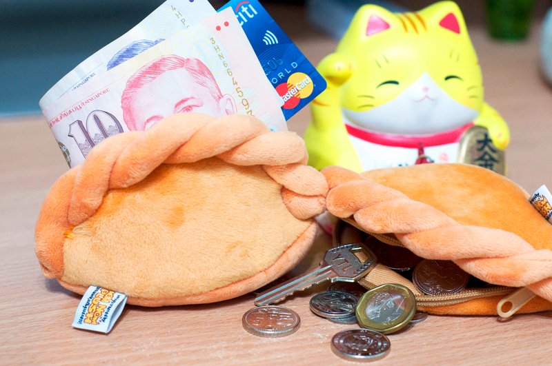Cosy Curry Puff Pouch