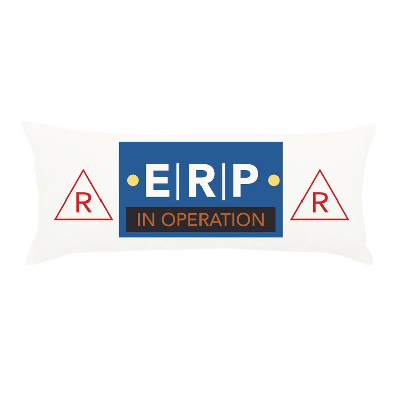 Not-so-Restless ERP Pillow