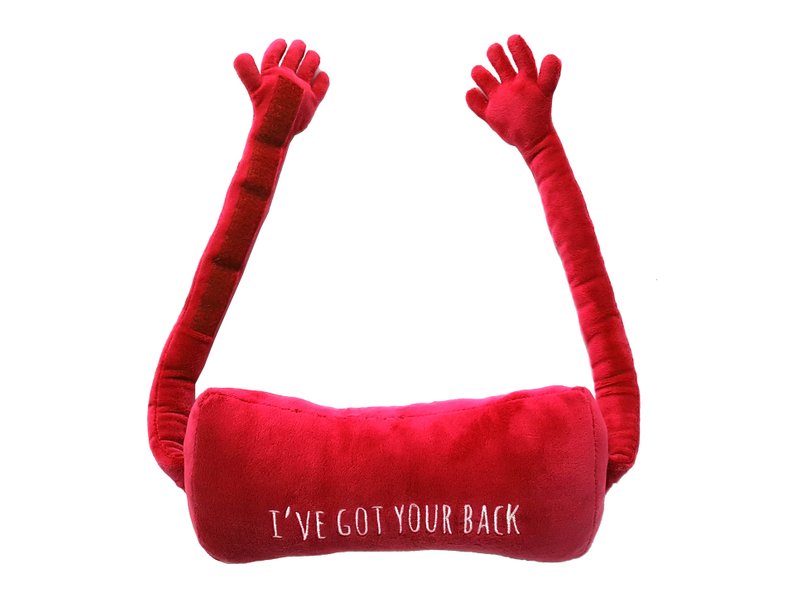 Supportive Back Pillow