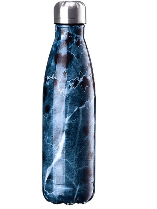 Stylish Stainless Steel Bottle